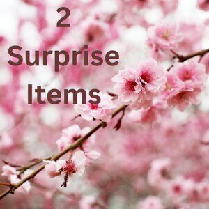 2 Surprise Items Women's Size XS- Mystery Reseller Sourcing